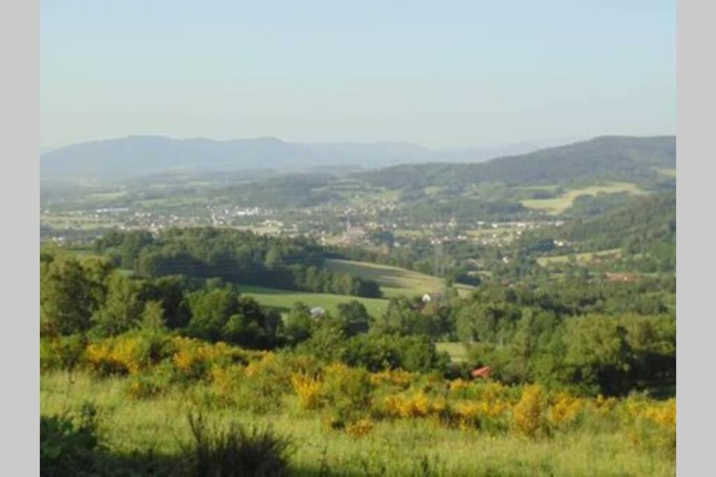 Gite De Moyenne Montagne Anould Exterior photo